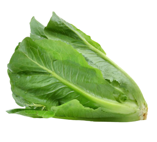 ผักกรีนคอส