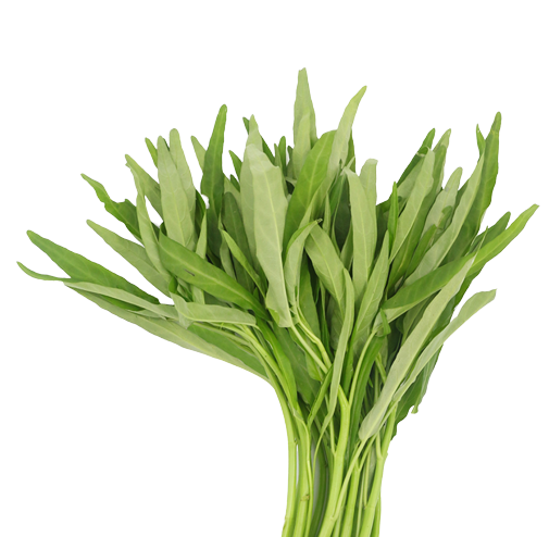 ผักบุ้ง