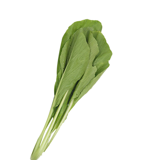 ผักกวางตุ้ง