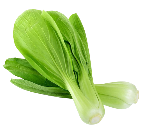 ผักกวางตุ้งฮ่องเต้ก้านเขียว